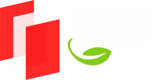 Anesu ka Mpho web logo white